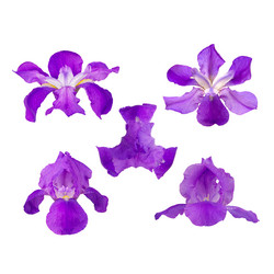 Similar image 8401004