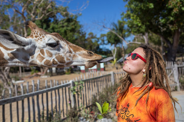 Similar image 8401028