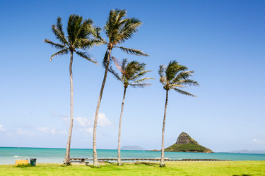 Similar image 8401034