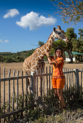 Similar image 8401036