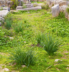 Similar image 8401688