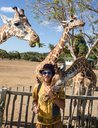 Similar image 8401839