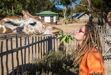 Similar image 8401851