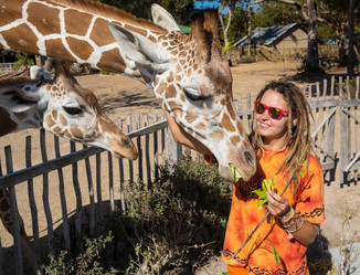 Similar image 8401853