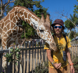 Similar image 8401861