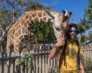 Similar image 8401862