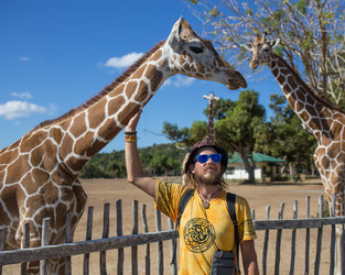 Similar image 8401865