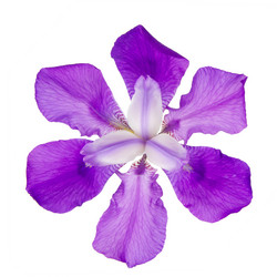 Similar image 8401958