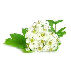 Similar image 8401959