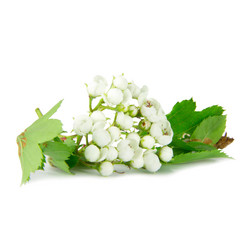 Similar image 8401960