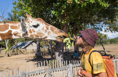 Similar image 8402003