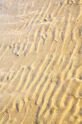 Similar image 8402119