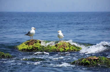 Similar image 8402128