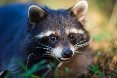 Similar image 8402271