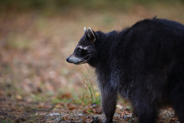 Similar image 8402283