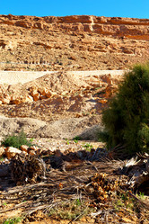 Similar image 8402298