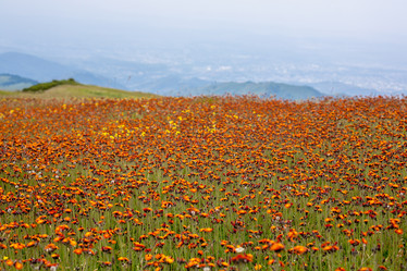 Similar image 8402340