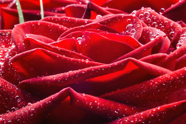 Similar image 8402500