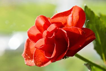 Similar image 8402835