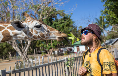 Similar image 8402981