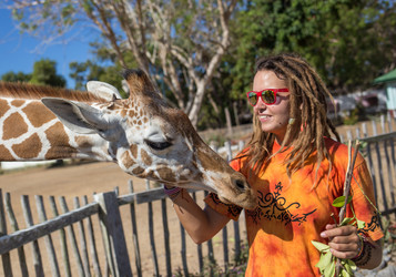 Similar image 8402982