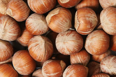 Similar image 8402997