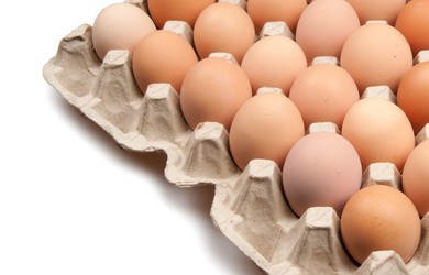 Similar image 8403001