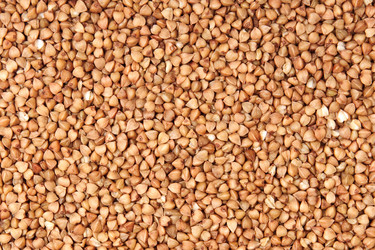 Similar image 8403006