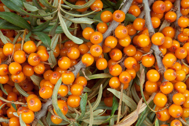 Similar image 8403008