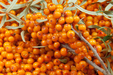 Similar image 8403009