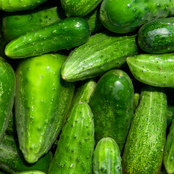 Similar image 8403014