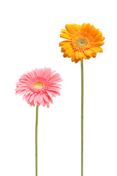 Similar image 8403037