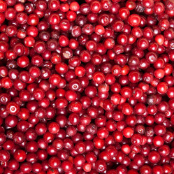 Similar image 8403038