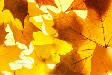 Similar image 8403039