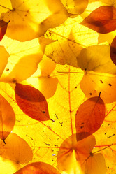 Similar image 8403040