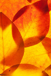 Similar image 8403041