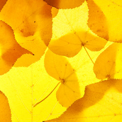 Similar image 8403044