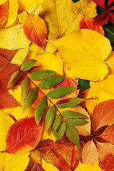 Similar image 8403050