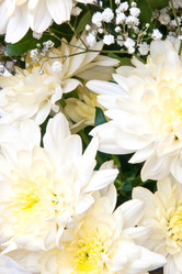 Similar image 8403097