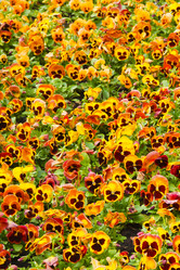 Similar image 8403099