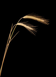 Similar image 8403111