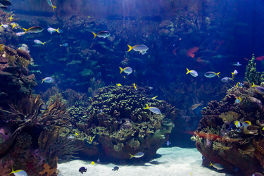 Similar image 8403142