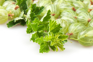 Similar image 8403156