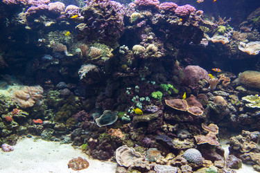 Similar image 8403157