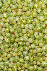 Similar image 8403159