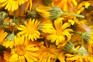 Similar image 8403161