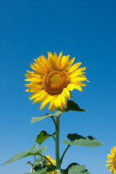 Similar image 8403167