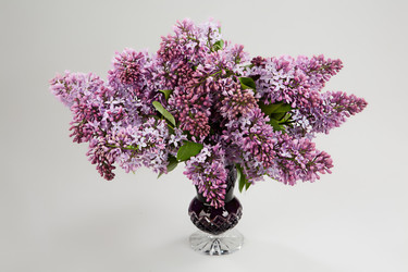 Similar image 8403201