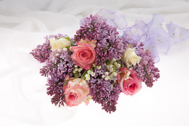 Similar image 8403206