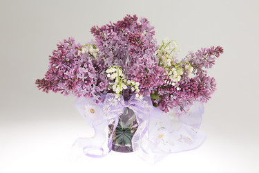 Similar image 8403207